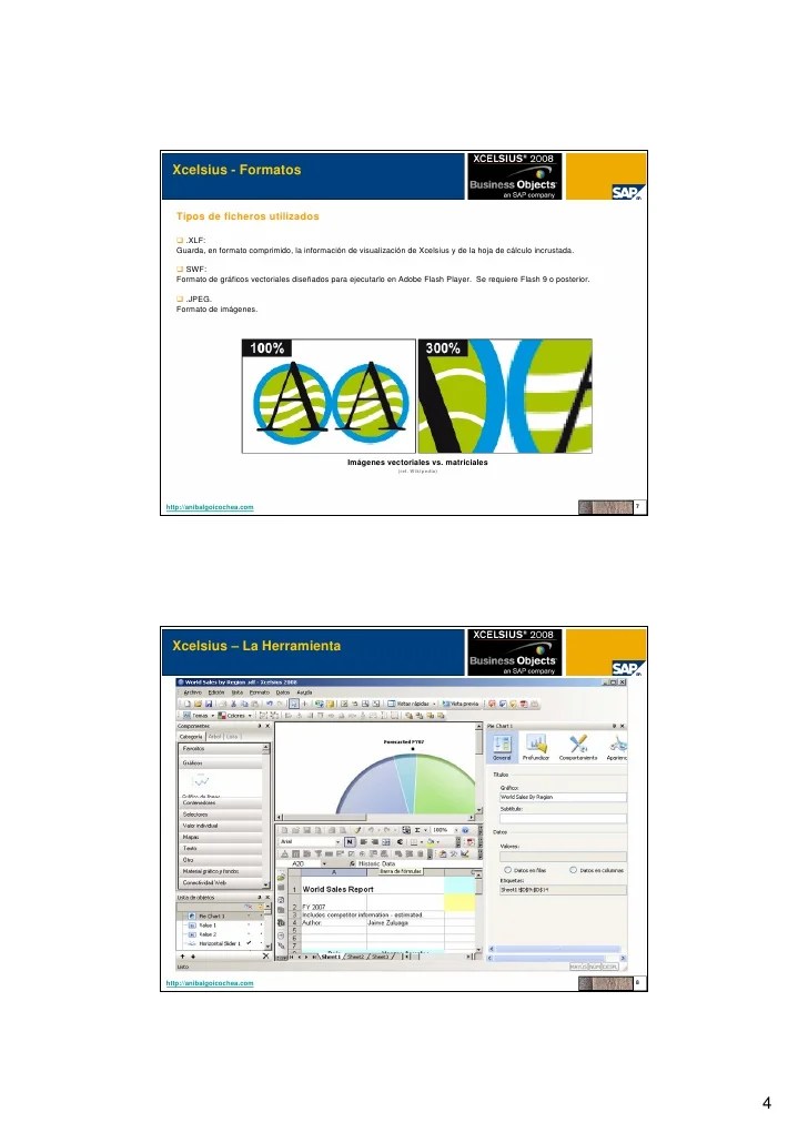 Xcelsius SAP Business Objects XI
