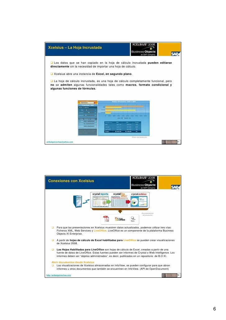 Xcelsius SAP Business Objects XI