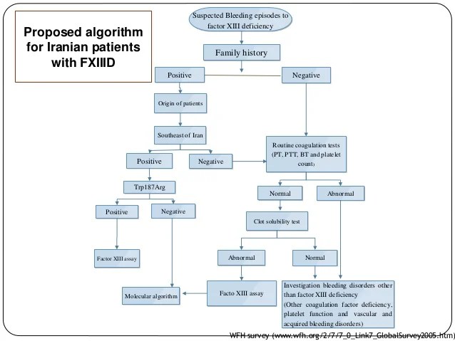 A Diagnostic Algorithm for Factor XIII Deficiency in Iran,