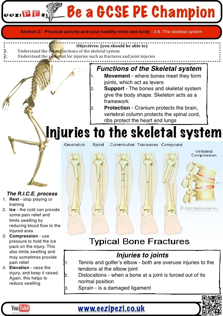 Three Diet Related Conditions Or Disorders Of The Skeletal