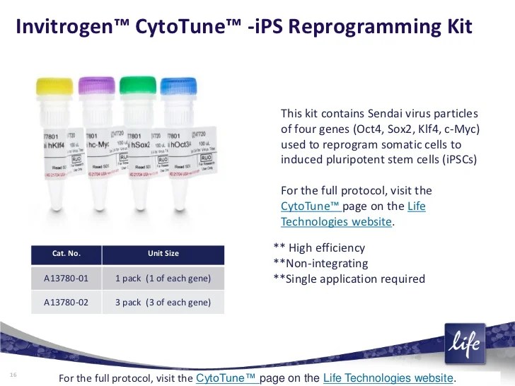 Generation of Transgenefree iPSCs with CytoTune™ iPS Sendai Cell Rep…