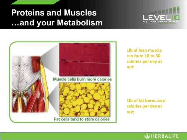 The Ultimate Lifestyle Level 10 launch presentation