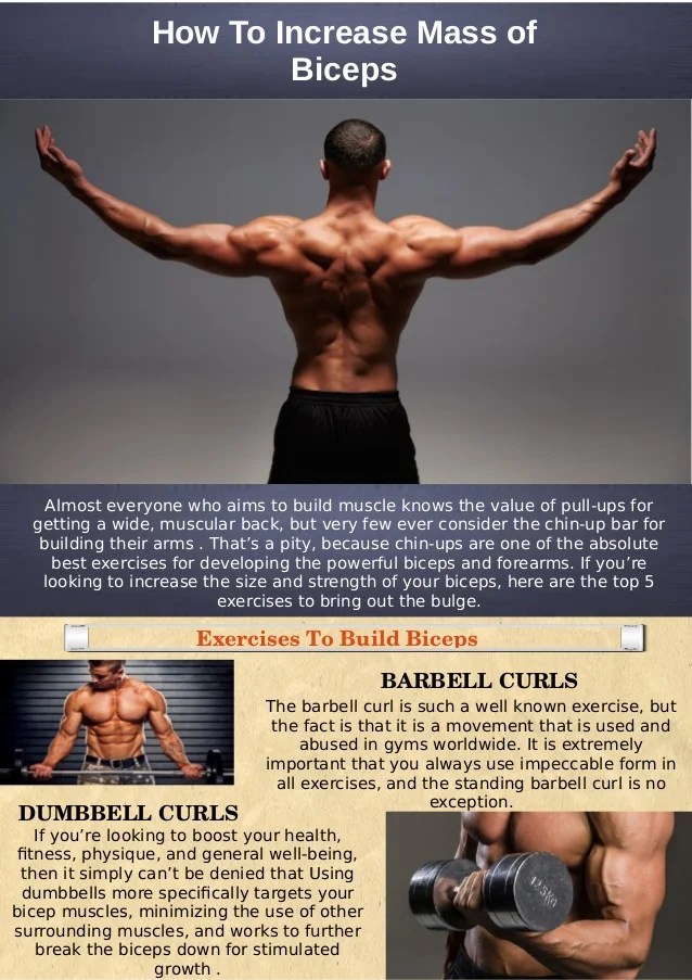 How To Increase Mass of Biceps