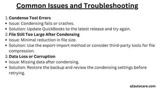 How to Reduce QuickBooks File Size: A Data Condensing Guide | PDF