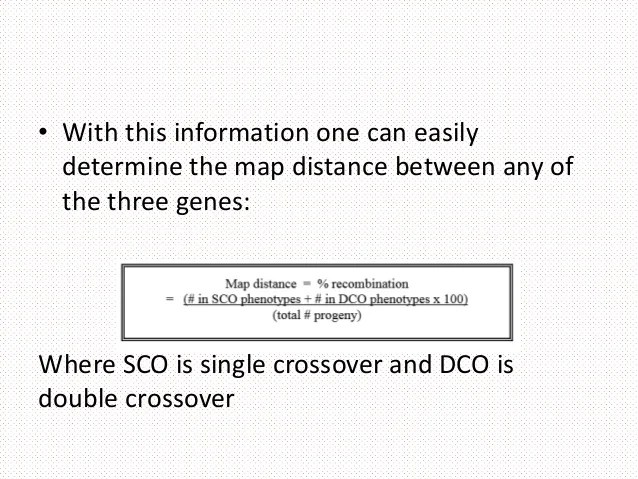 Map Formula AFP CV