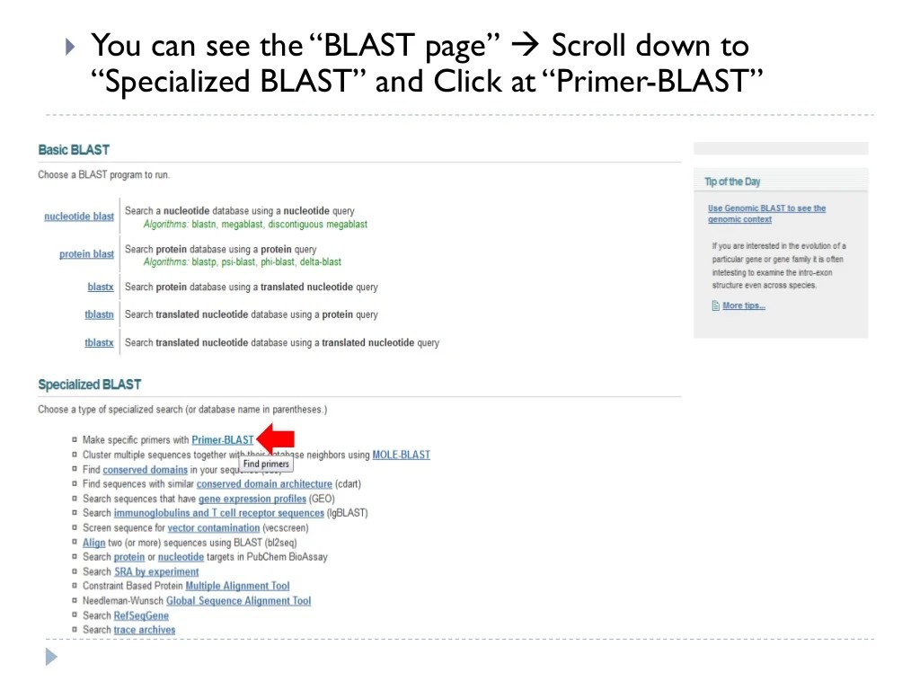 How to use primer blast for checking primer specificity