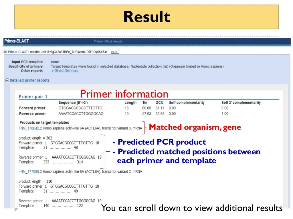 How to use primer blast for checking primer specificity