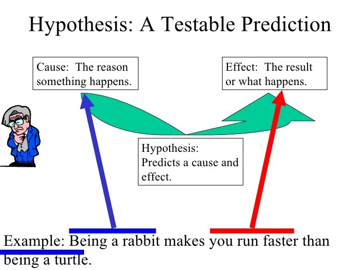 Hypothesis