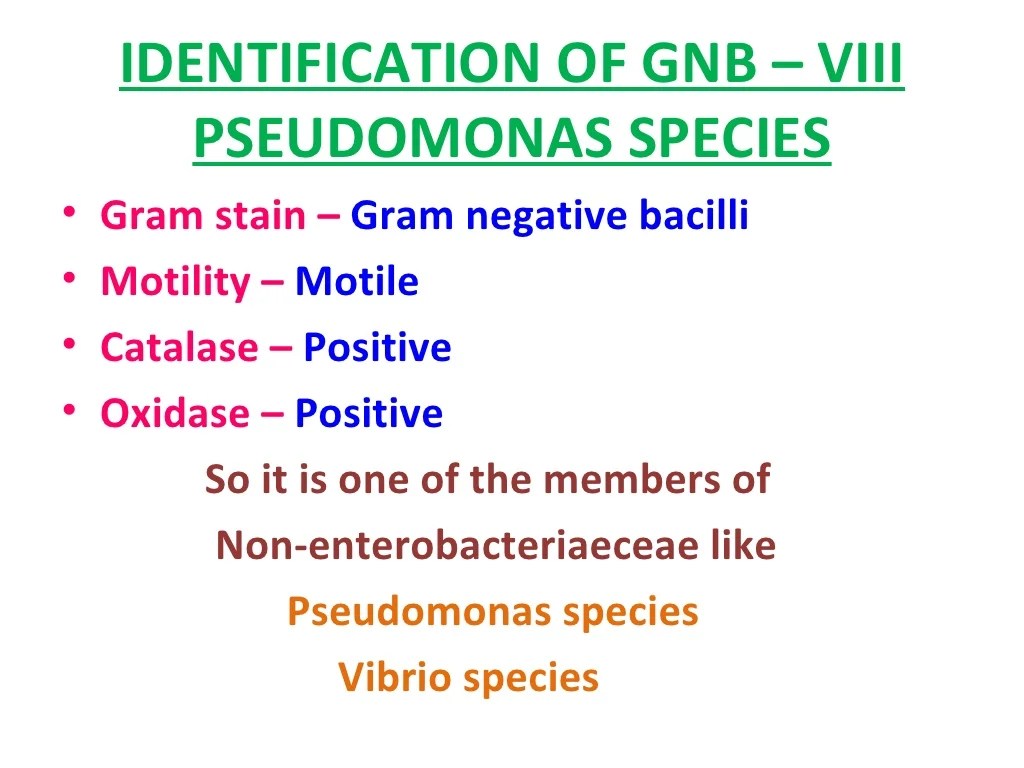 Identification of bacteria, Bacterial identification, Lab identificat…