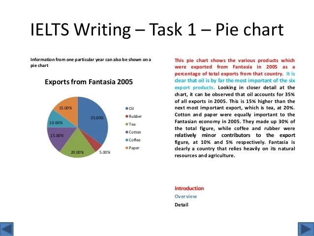 Pie Chart Report Essay