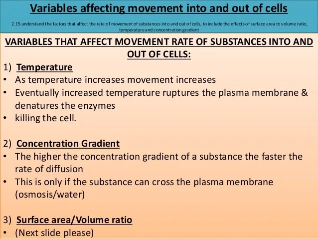 Igcse biology edexcel 2.1 2.16