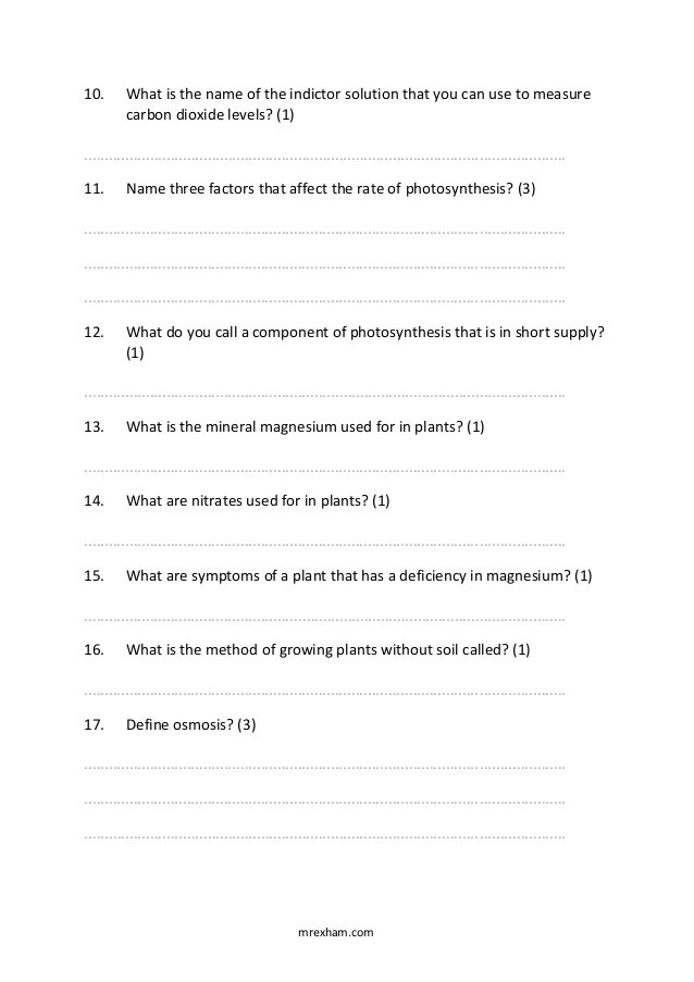 IGCSE Biology Revision Quiz Plant Physiology