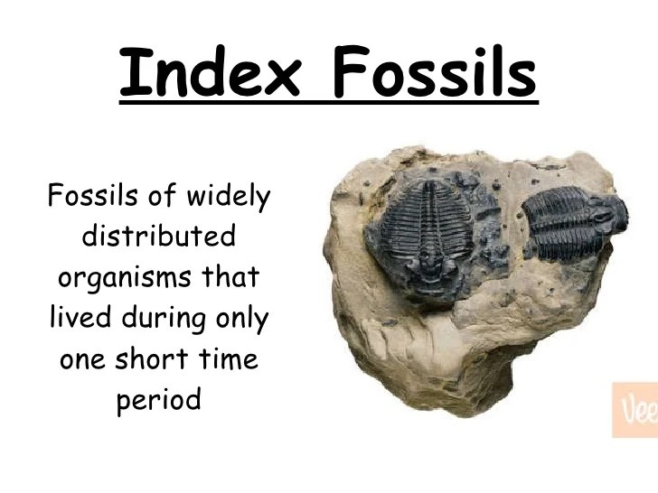Index fossils