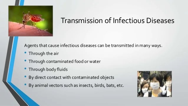 Infectious diseases an introduction
