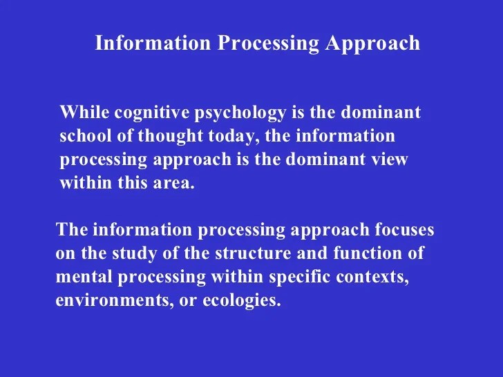Information processing approach