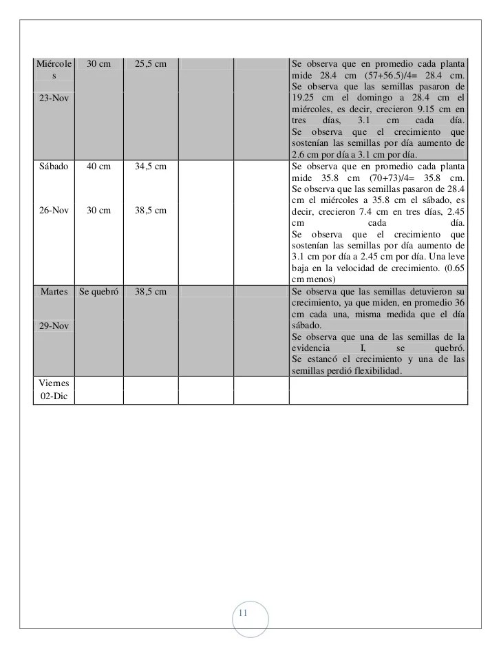 Informe experimento plantas (1)