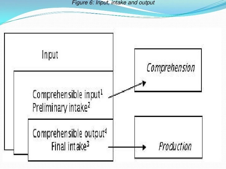 Input vs output hypothesis