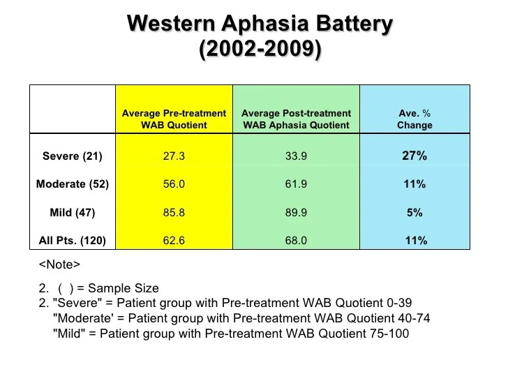 Intensive Aphasia Program