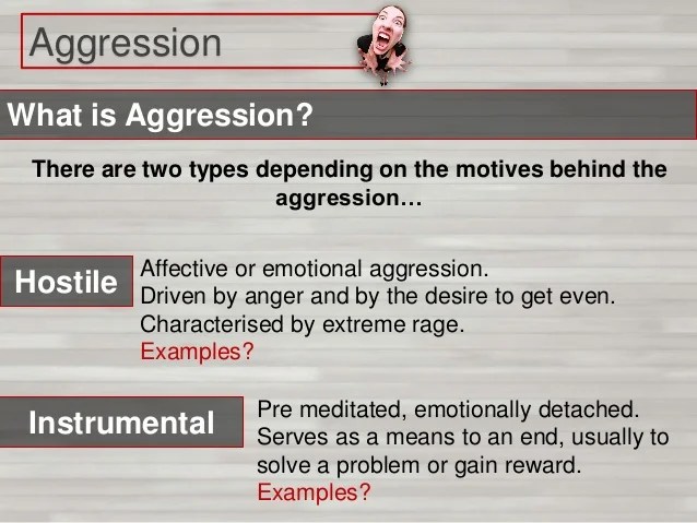 Introduction to aggression A2