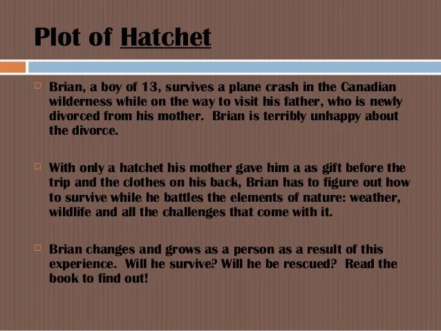 Homework Help Center Pickerington Public Library essays on hatchet by