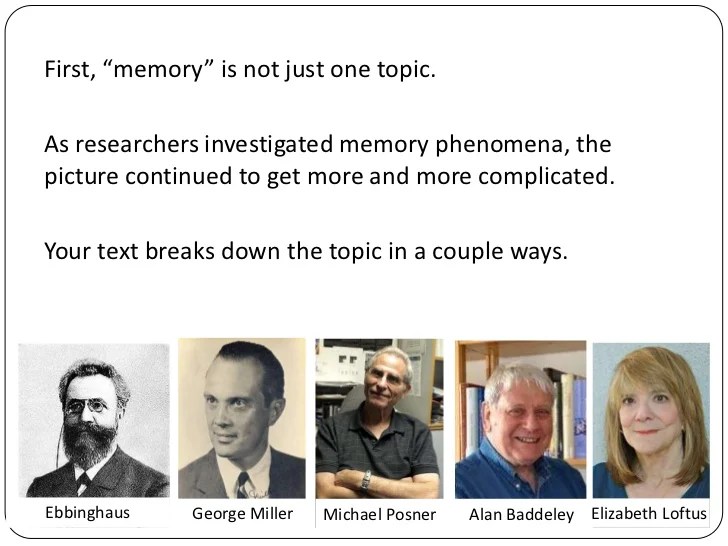 Introduction to human memory