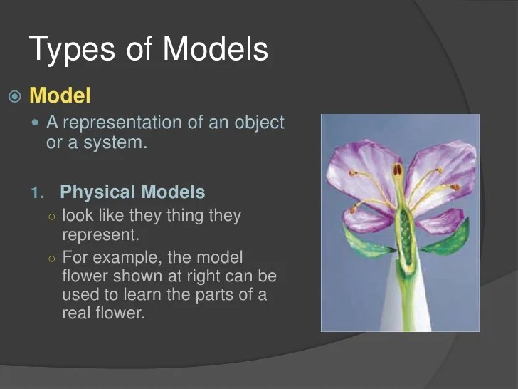 Introduction to Science 3.3 : Scientific Models