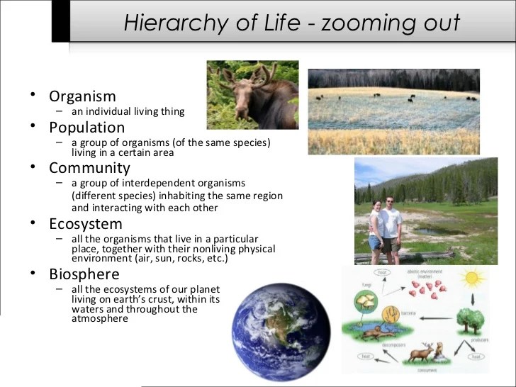 Intro to Life Science & Biology