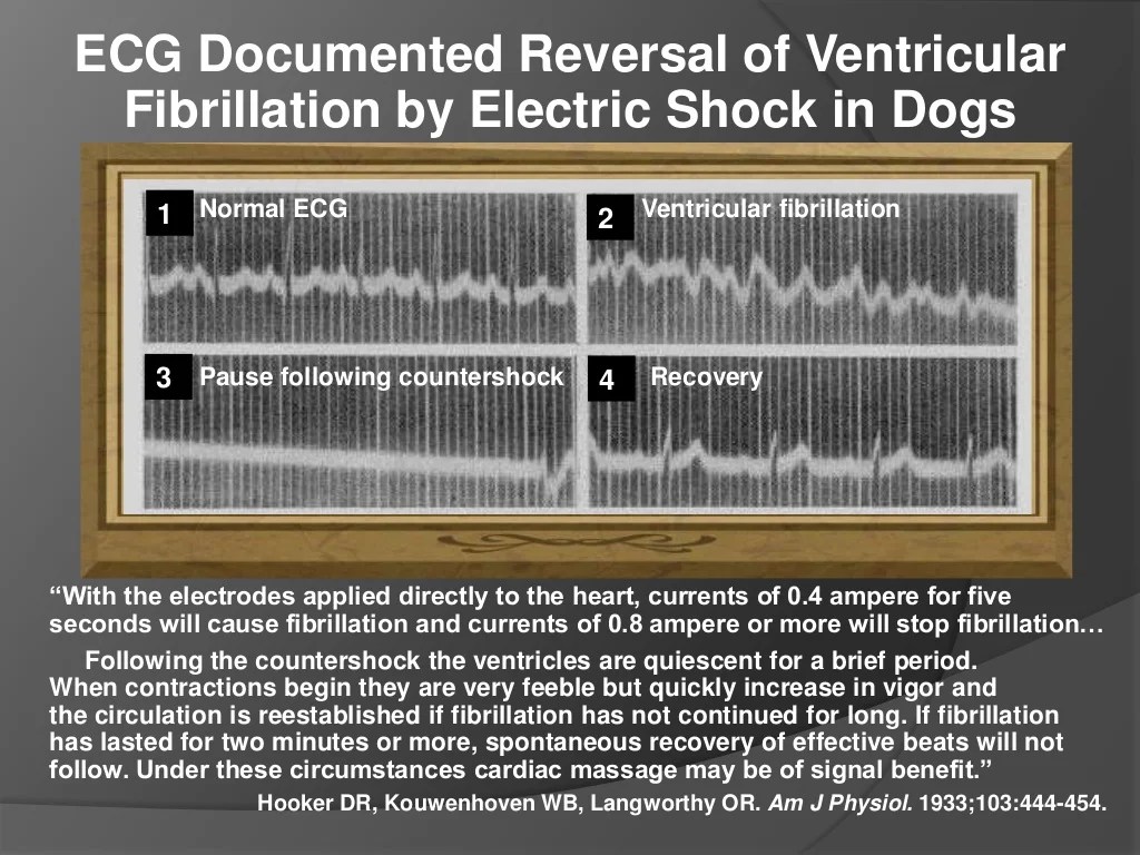 Intro to cardiology
