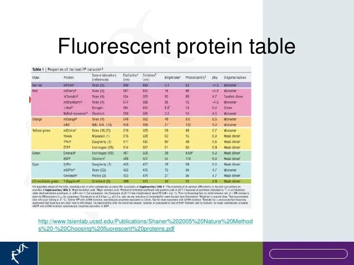 Introduction to Flow Cytometry
