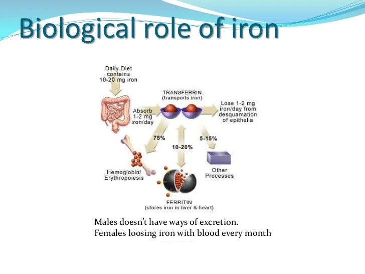 Iron overload intro