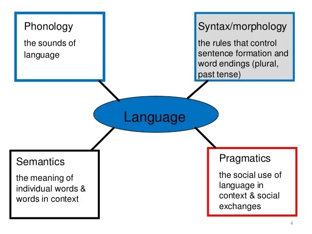 Prof. Norbury Lecture 'Overlap between ASD and SLI diagnostic chall…