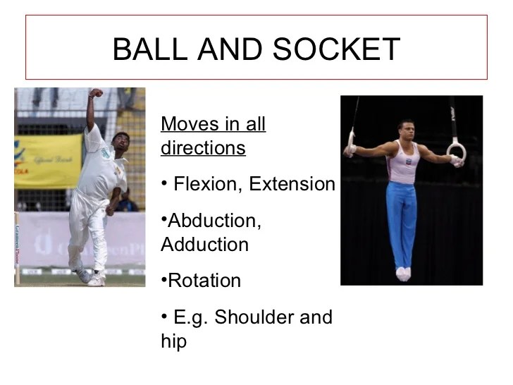 Joints and sporting actions