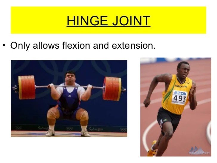 Joints and sporting actions