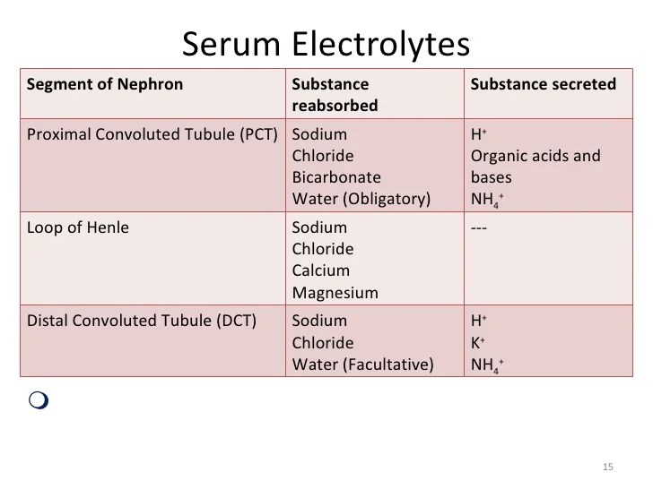Kidney function test