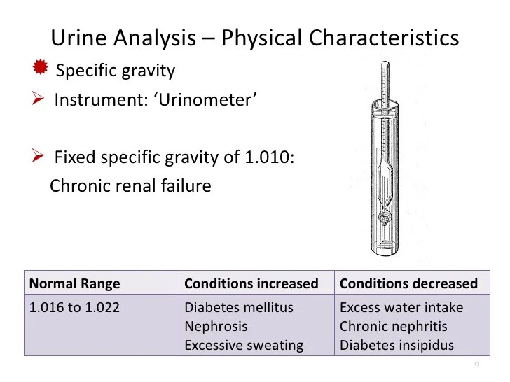 Kidney function test