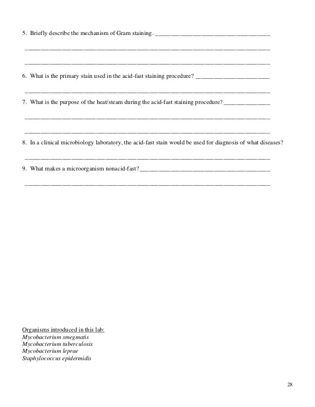 ⚡ Introduction for gram staining lab report. How to Write Microbiology
