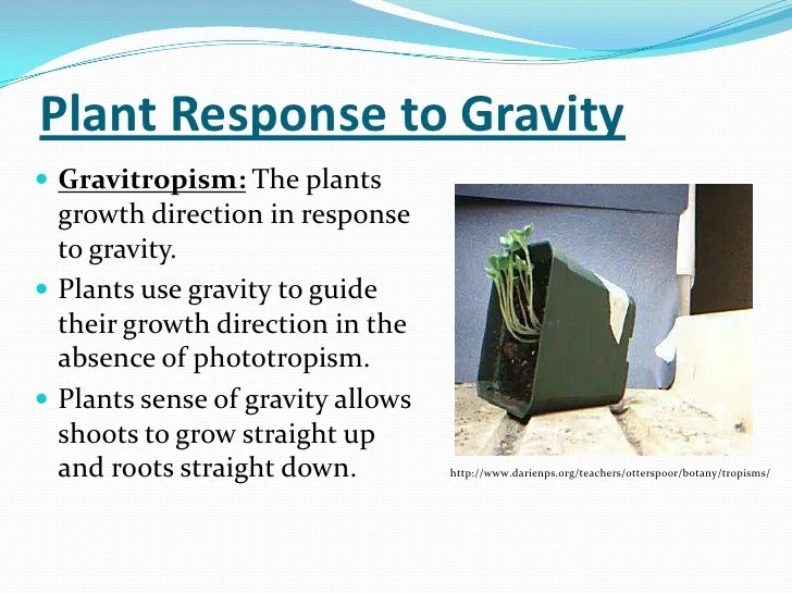 Lab2powerpoint (1)