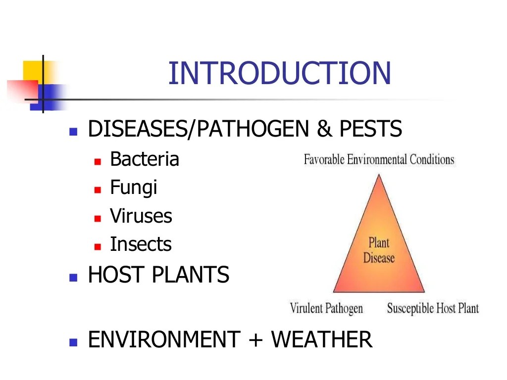 Forecasting of pest and diseases based on weather