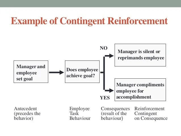 Learning and reinforcement