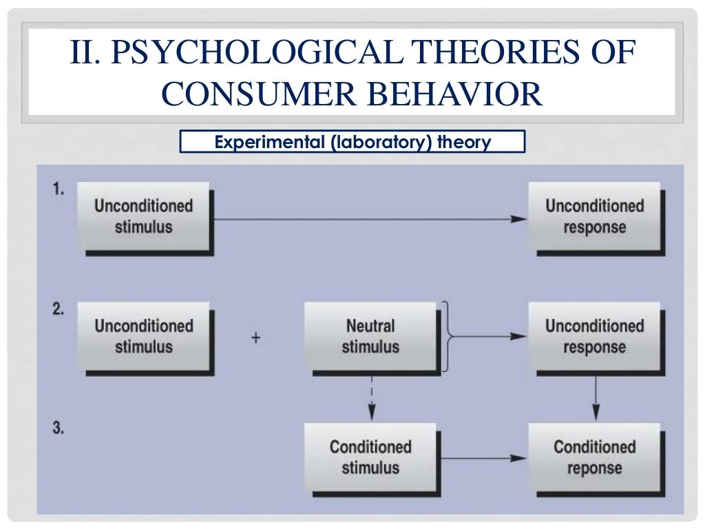 Lecture 2 theories and models of consumer behavior