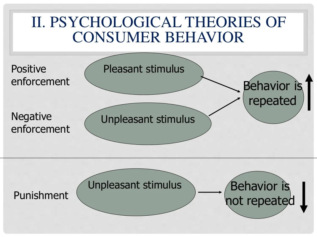 Lecture 2 theories and models of consumer behavior