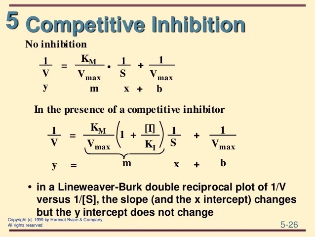 Lecture6enzy advance