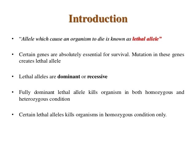 Lethal allele