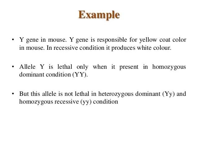 Lethal allele