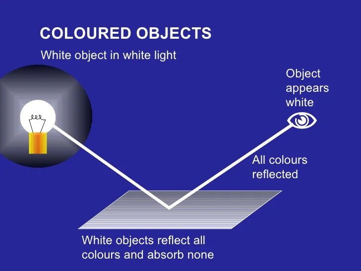 Light Lesson 4