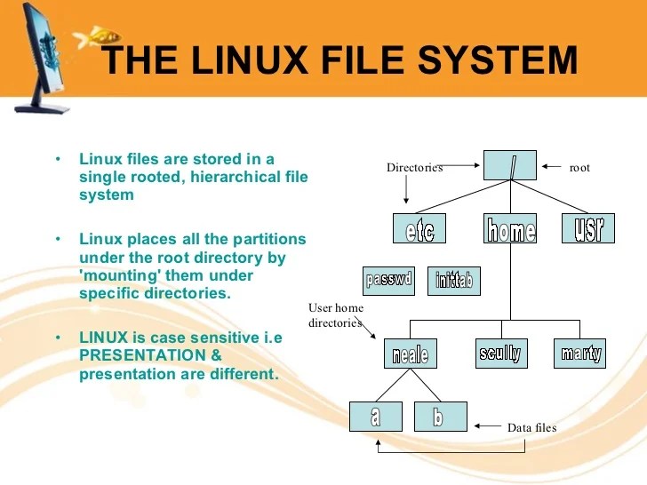 Linux file system