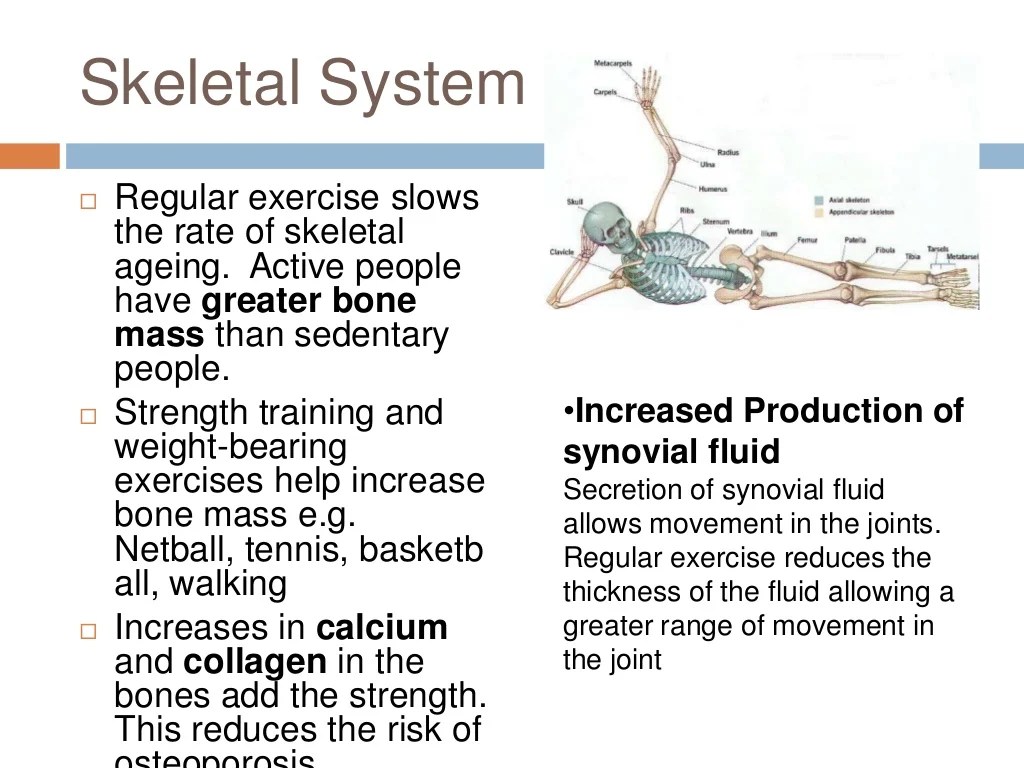 Long term effects of exercise on musculoskeletal system