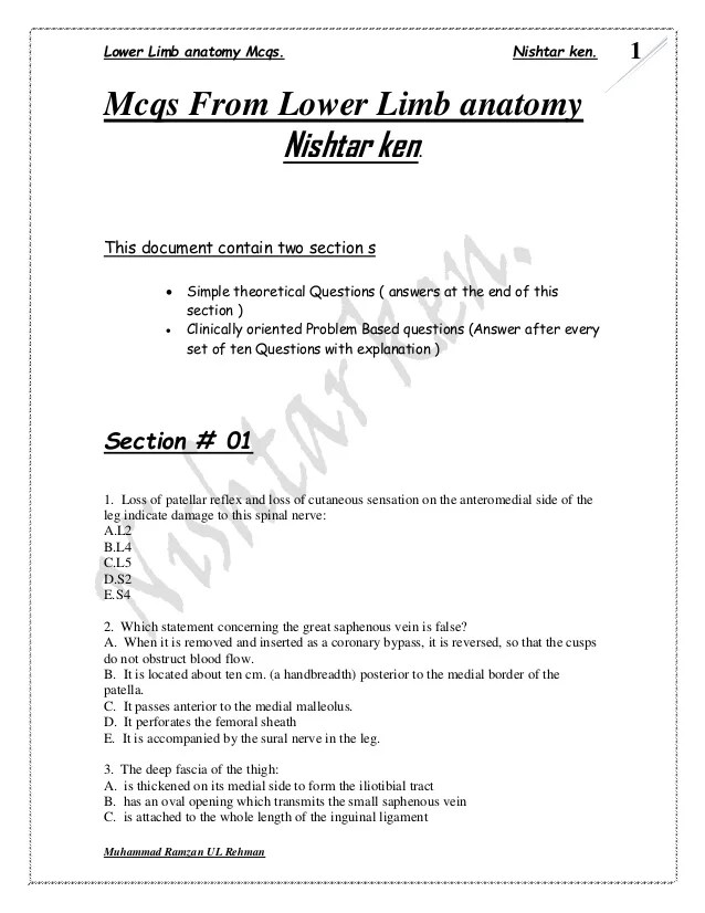 Lower limb MCQs