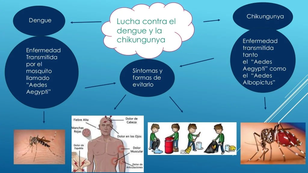 Mapa mental lucha contra el dengue y chikungunya