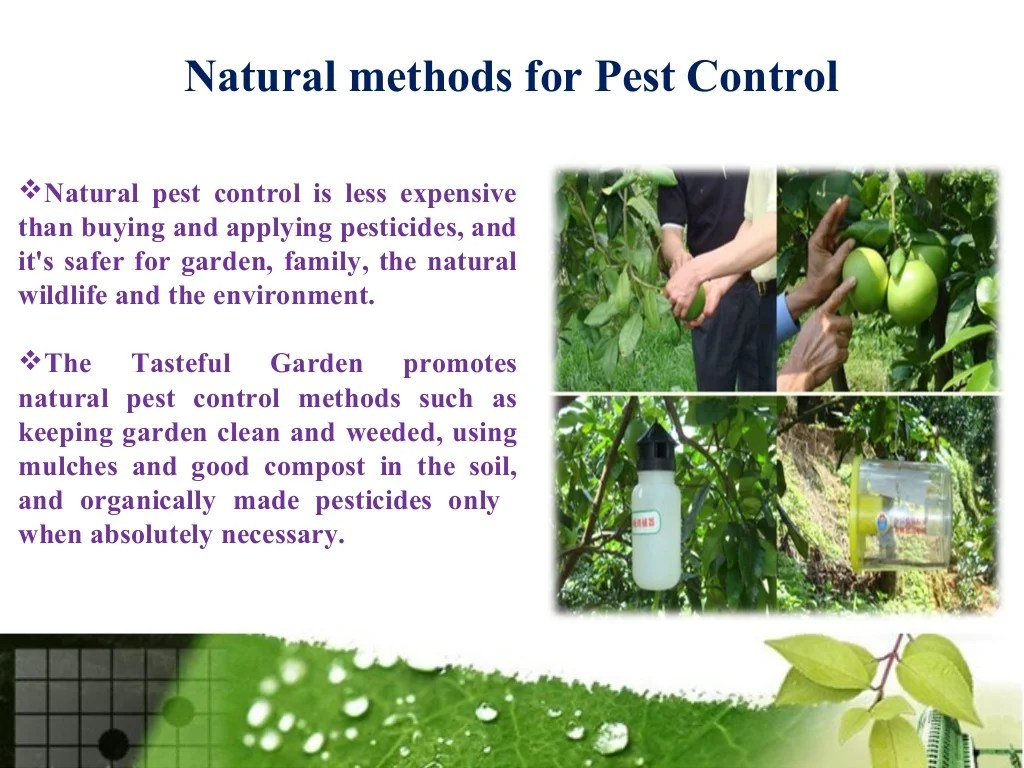 Methods for pest control